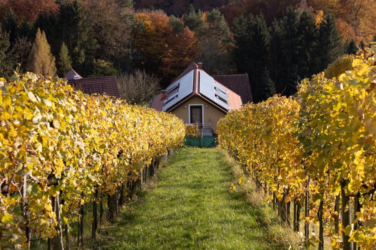 Weinberghaus Am Burgstallkogel Leibnitz Bagian luar foto